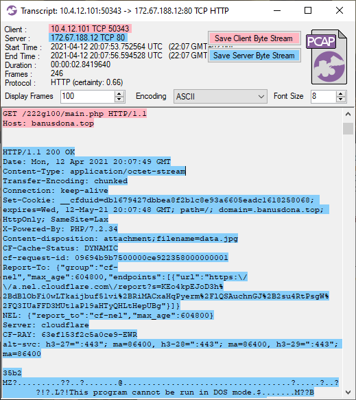 Malware PCAP Analysis